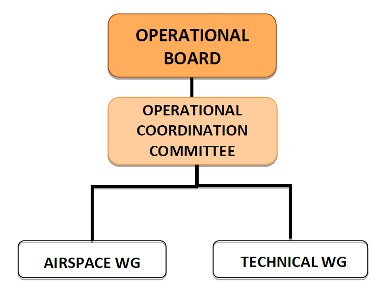 Operational Board Structure