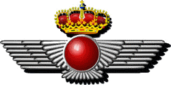 Ejercito del Aire Logo